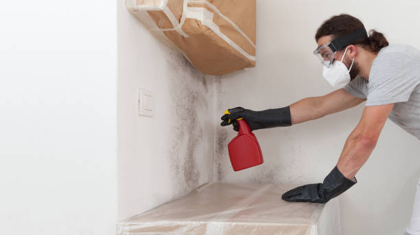 Professional Crawl Space Mold Remediation technician working in Englishtown, NJ